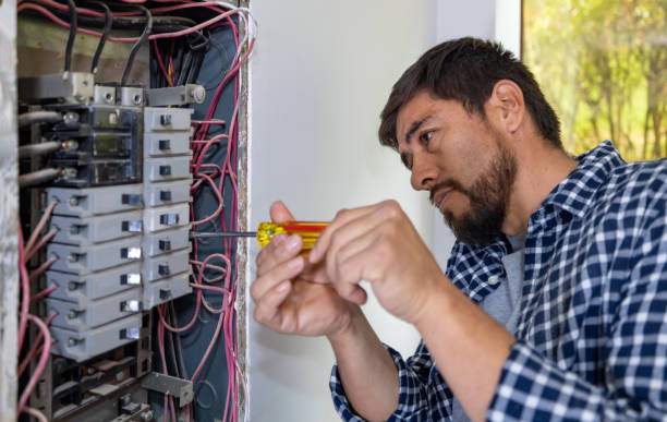 Best Emergency Electrician Near Me  in Federal Y, WA